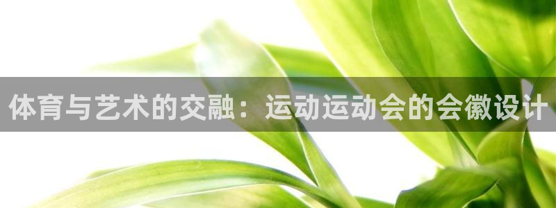 so米体育直播nba：体育与艺术的交融：运动运动会的会徽设计