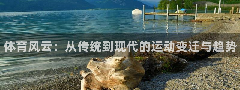 so米体育赛事：体育风云：从传统到现代的运动变迁与趋势