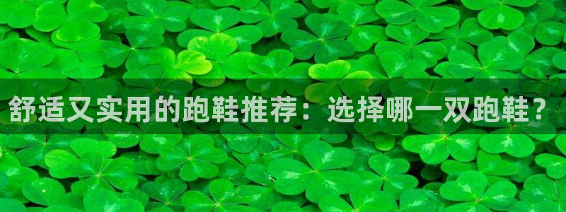 so米下载：舒适又实用的跑鞋推荐：选择哪一双跑鞋？
