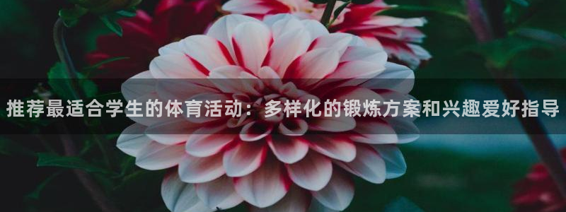 so米体育在线观看：推荐最适合学生的体育活动：多样化的锻炼方案和兴趣爱好指导