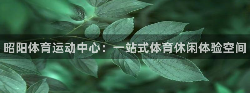 so米体育在线观看：昭阳体育运动中心：一站式体育休闲体验空间