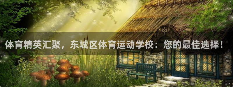 so米体育app官方下载：体育精英汇聚，东城区体育运动学校：您的最佳选择！