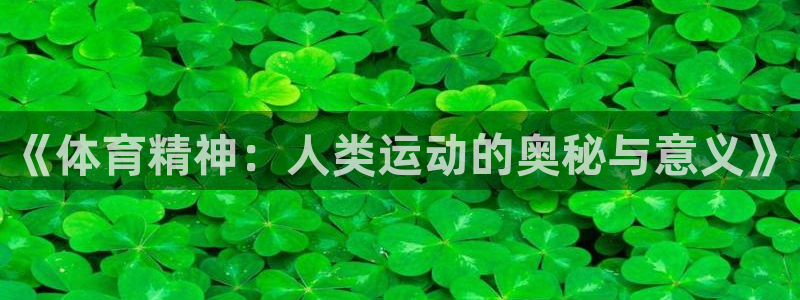 so米徐冰冰：《体育精神：人类运动的奥秘与意义》