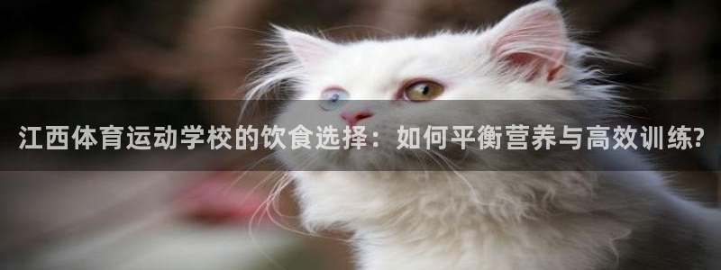 so米体育官网：江西体育运动学校的饮食选择：如何平衡营养与高效训练?